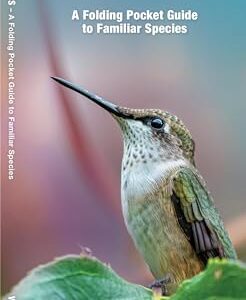 Hummingbirds Nature Guide