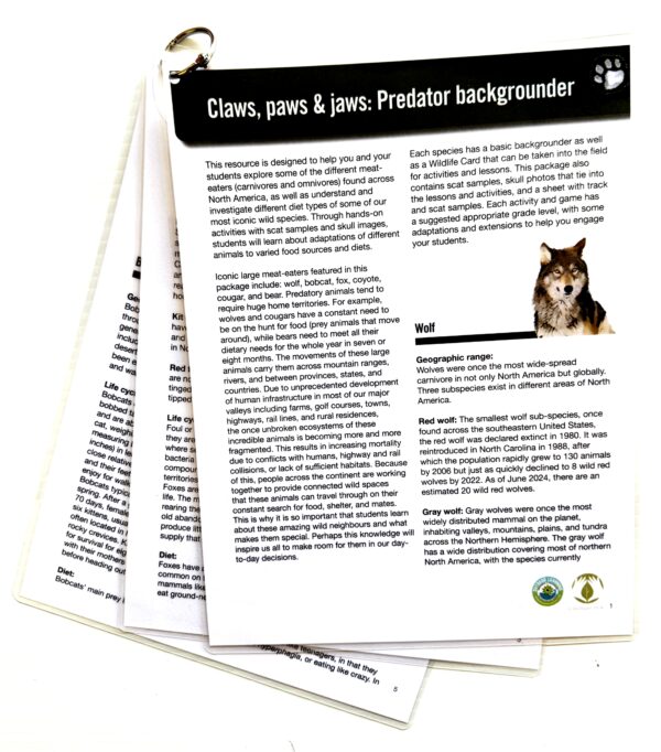 Claws, Paws, & Jaws: Predator Learning Kit - Image 7