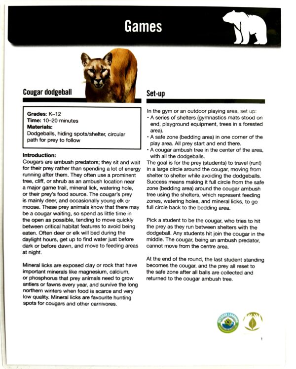 Claws, Paws, & Jaws: Predator Learning Kit - Image 8