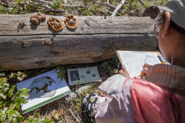 Claws, Paws, & Jaws: Predator Learning Kit - Image 9