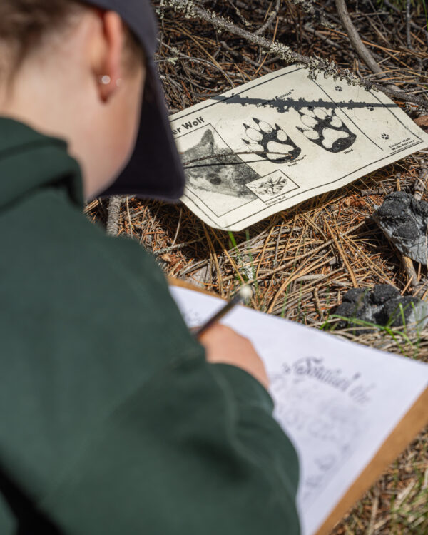 Claws, Paws, & Jaws: Predator Learning Kit - Image 11