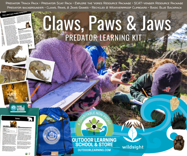 Claws, Paws, & Jaws: Predator Learning Kit - Image 15