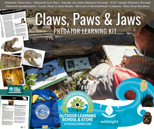 Claws, Paws, & Jaws: Predator Learning Kit - Image 14