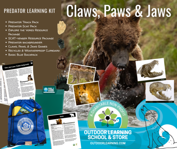 Claws, Paws, & Jaws: Predator Learning Kit - Image 2