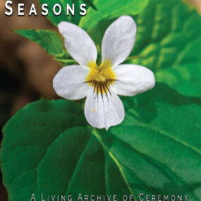 Walking Through the Seasons