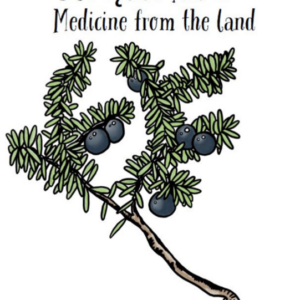 Dechı̨tah Náıdı́: Medicine from the Land Activity Book