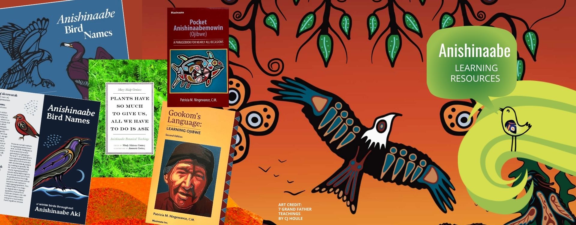 Anishinaabe Resources & Learning Opportunities