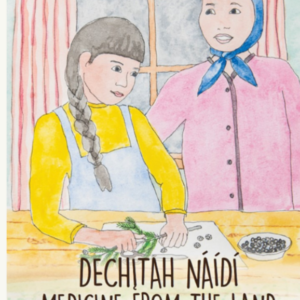 Dechı̨tah Náıdı́ Medicine from the Land